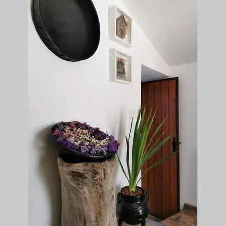 Casa Do Linho 400 Year Old Country أوليروس