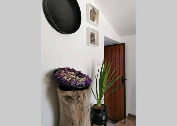 Casa Do Linho 400 Year Old Country Oleiros (Castelo Branco)